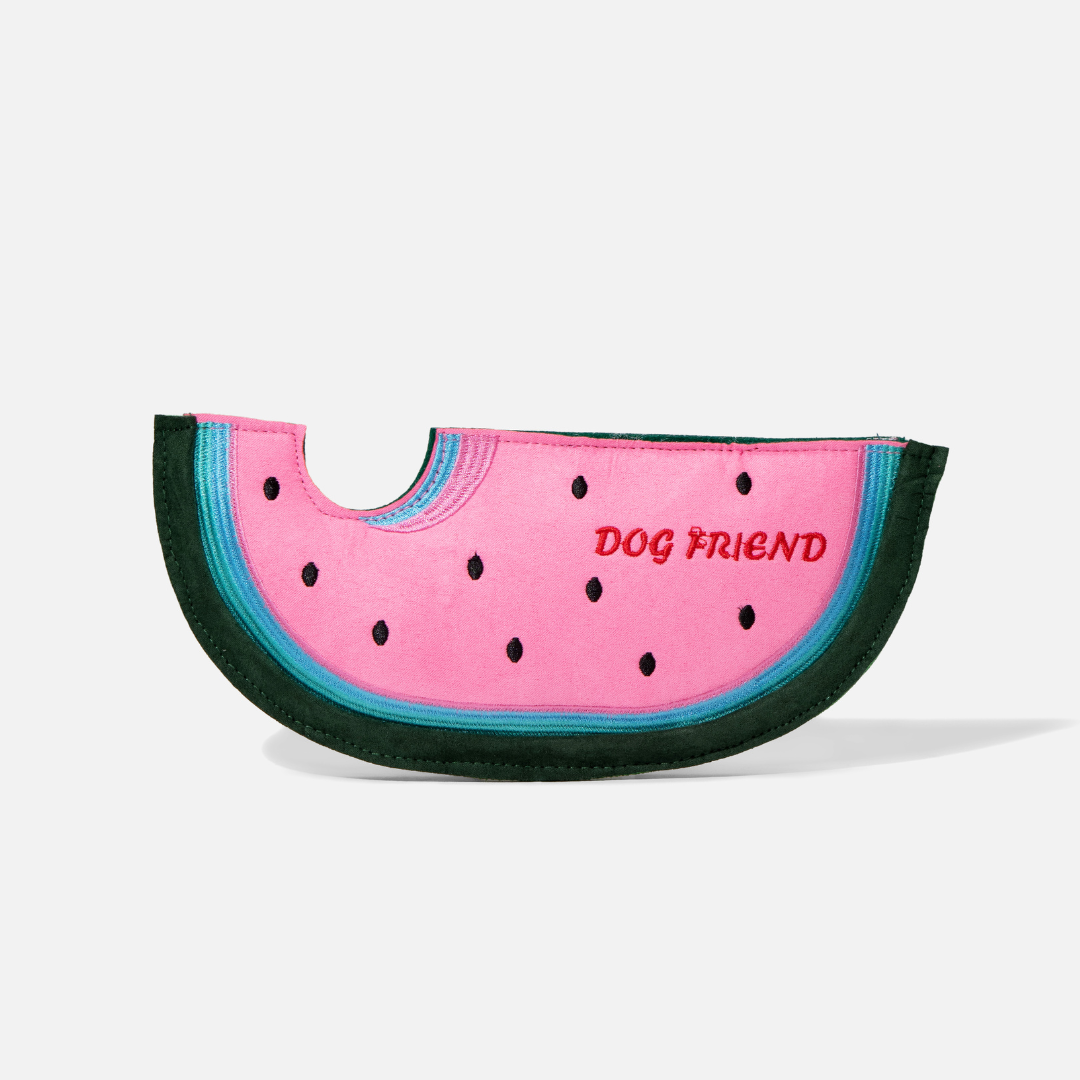 Watermelon Squeaky Crinkle Plush Frisbee