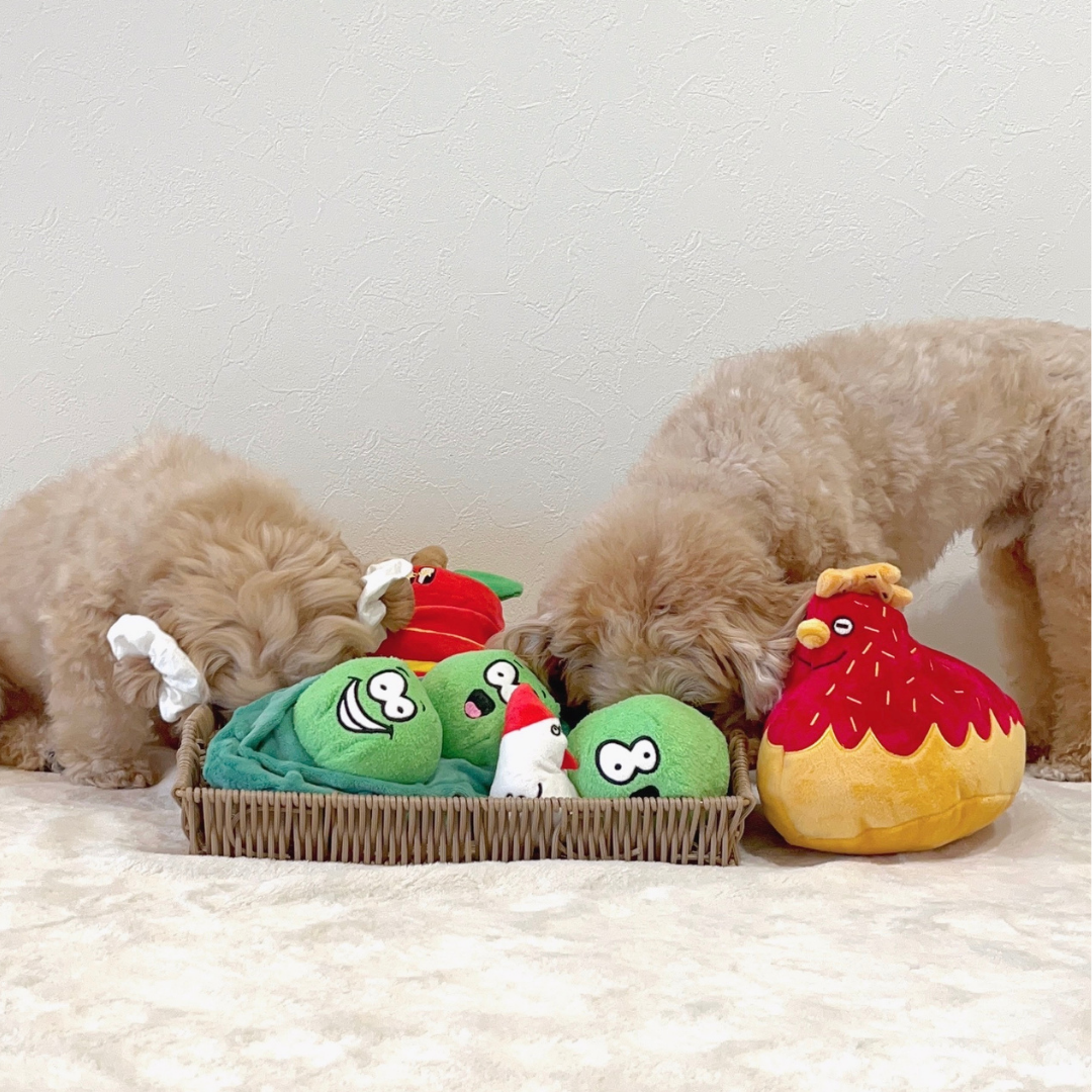 Hen & Chick Squeaky Treat-Hiding Plush Toy