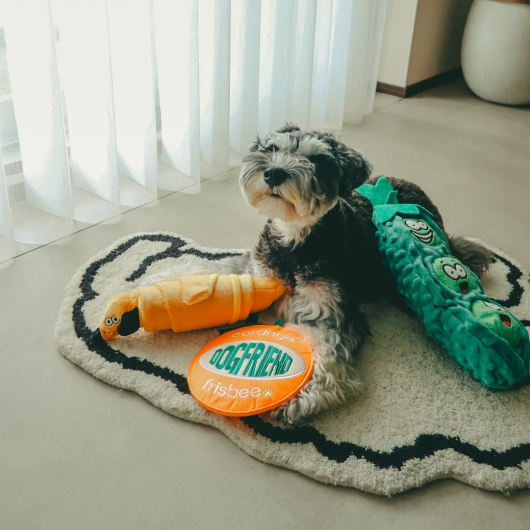 Orange Squeaky Crinkle Plush Frisbee