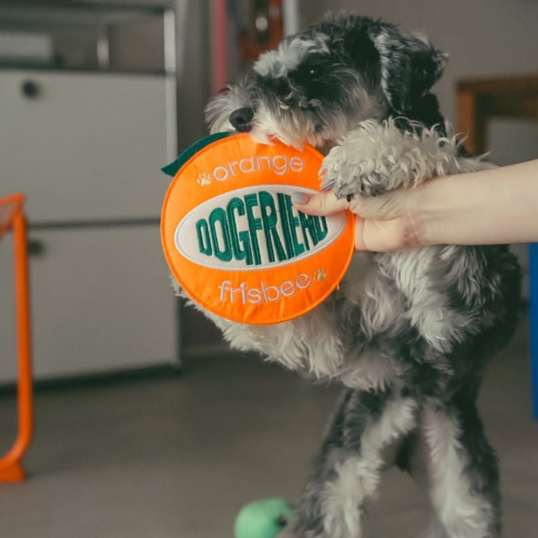 Orange Squeaky Crinkle Plush Frisbee