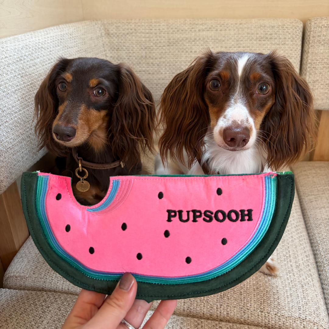 Watermelon Squeaky Crinkle Plush Frisbee
