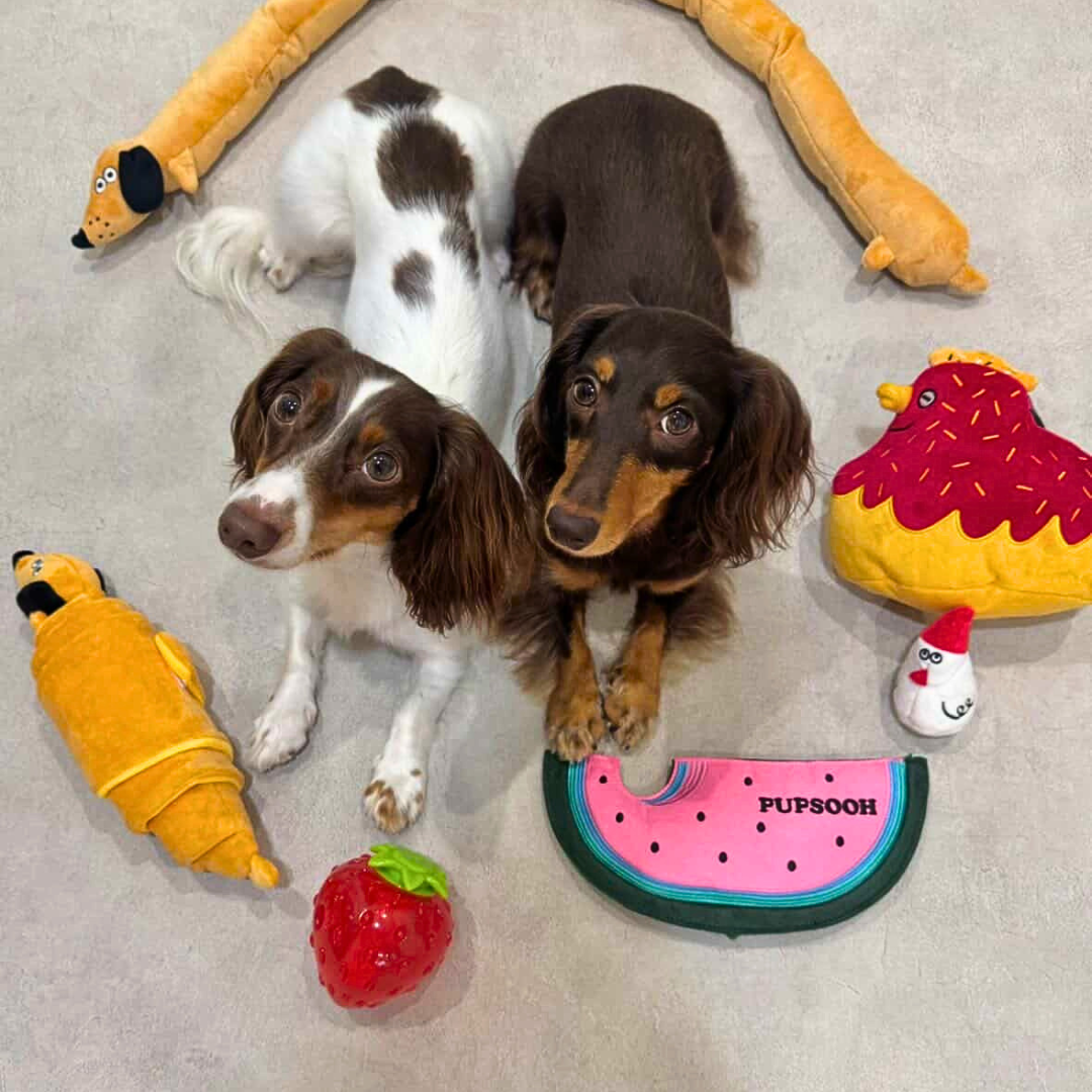 Watermelon Squeaky Crinkle Plush Frisbee