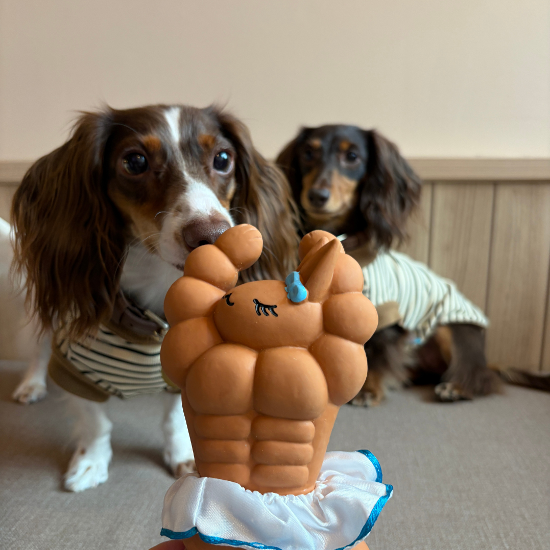 Ballet Bunny Tough Chew Squeaky Toy