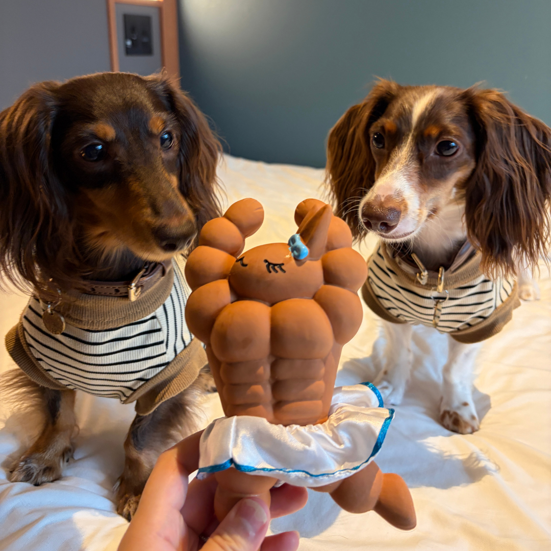 Ballet Bunny Tough Chew Squeaky Toy