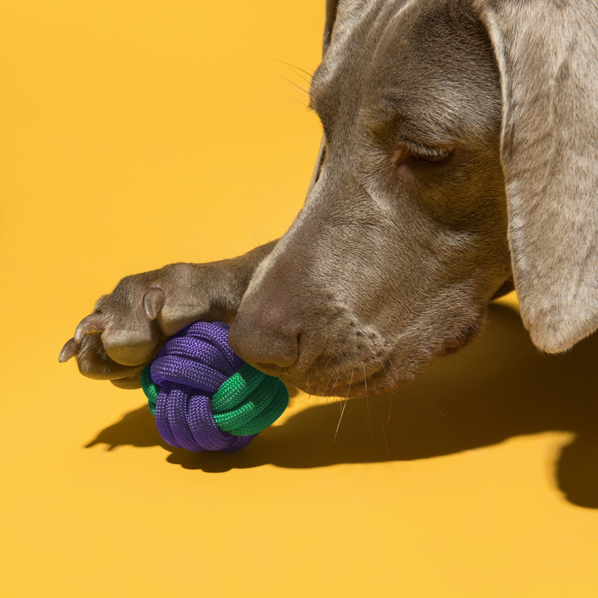 Rope Knot Ball Dog Toy