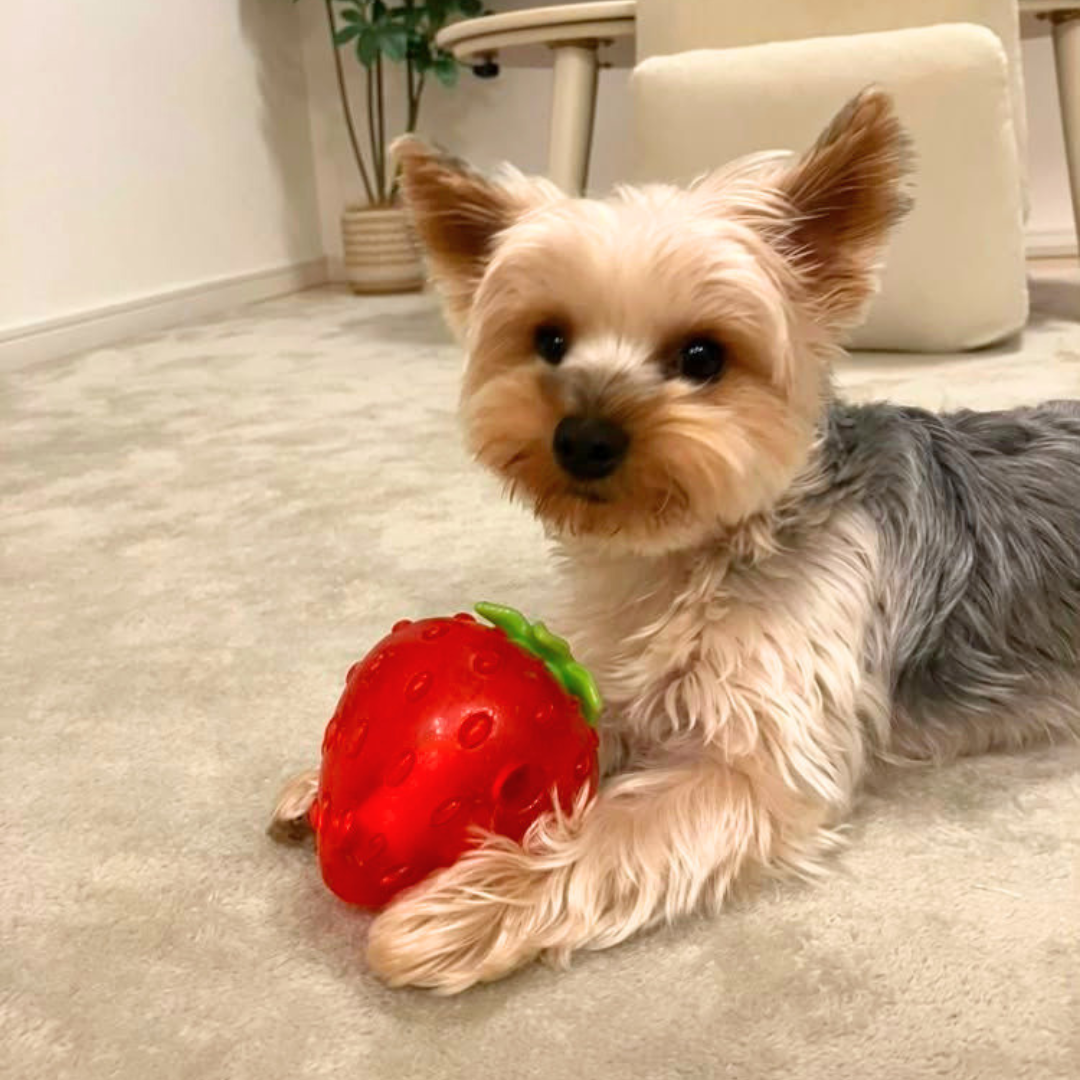 Strawberry Treat-Dispensing Chew Toy