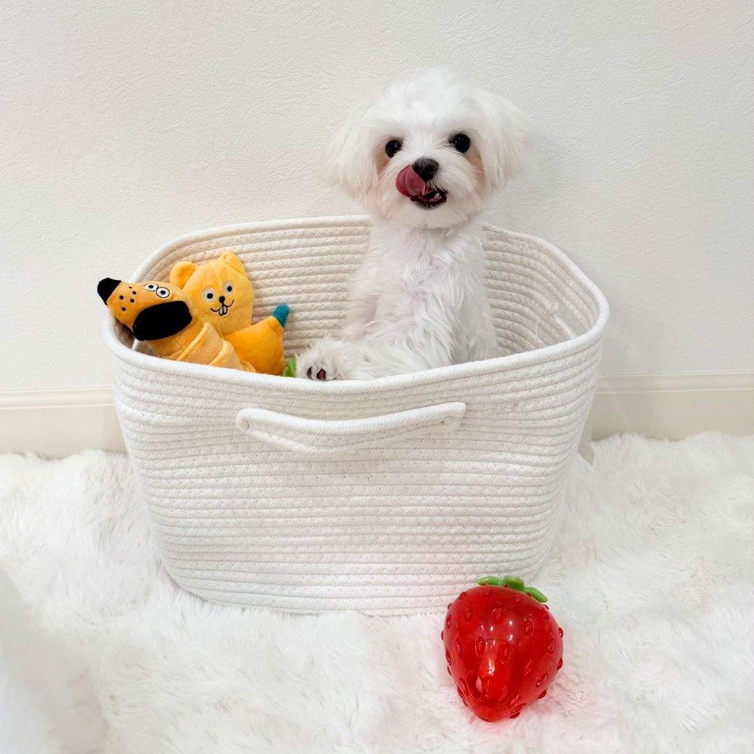 Strawberry Treat-Dispensing Chew Toy