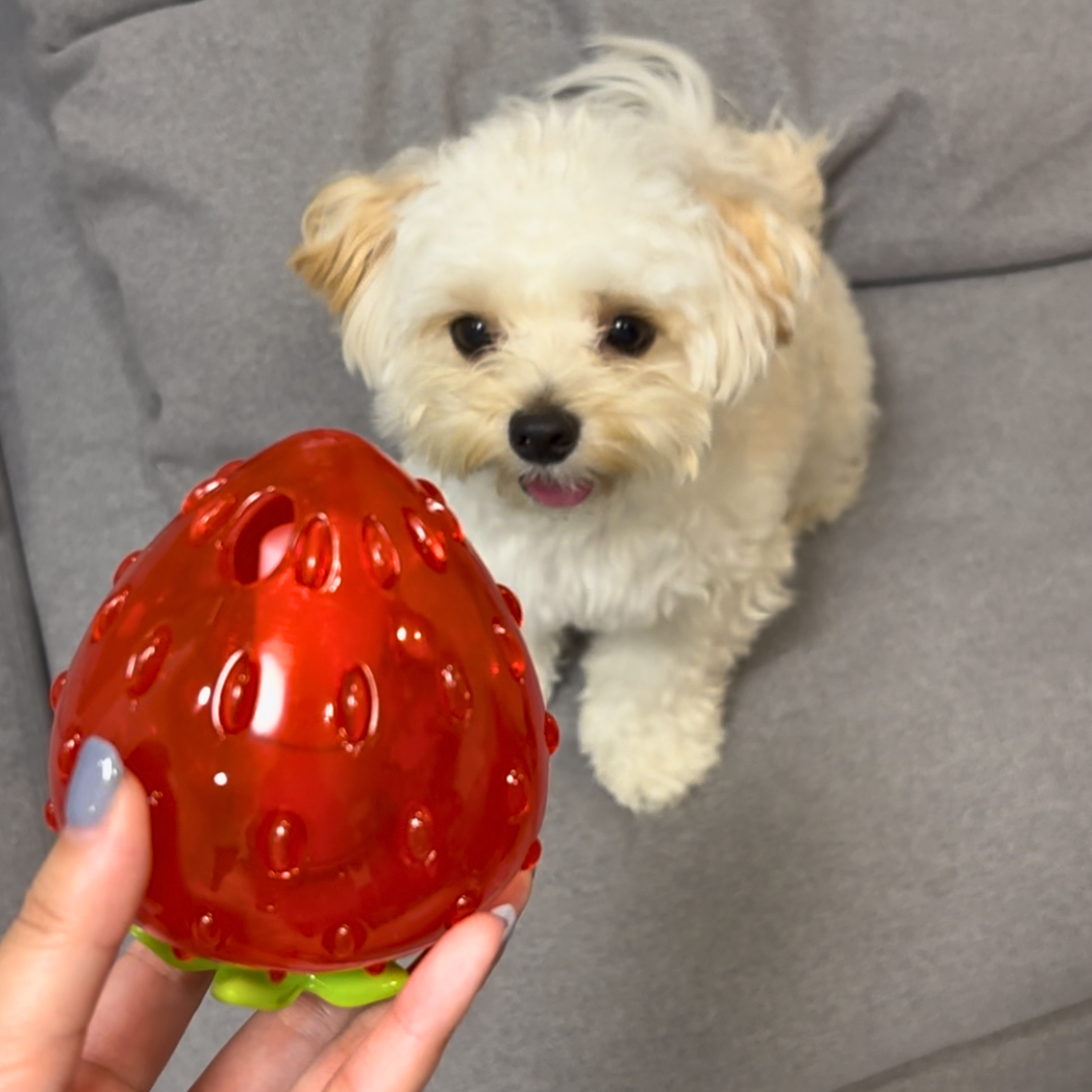 Strawberry Treat-Dispensing Chew Toy