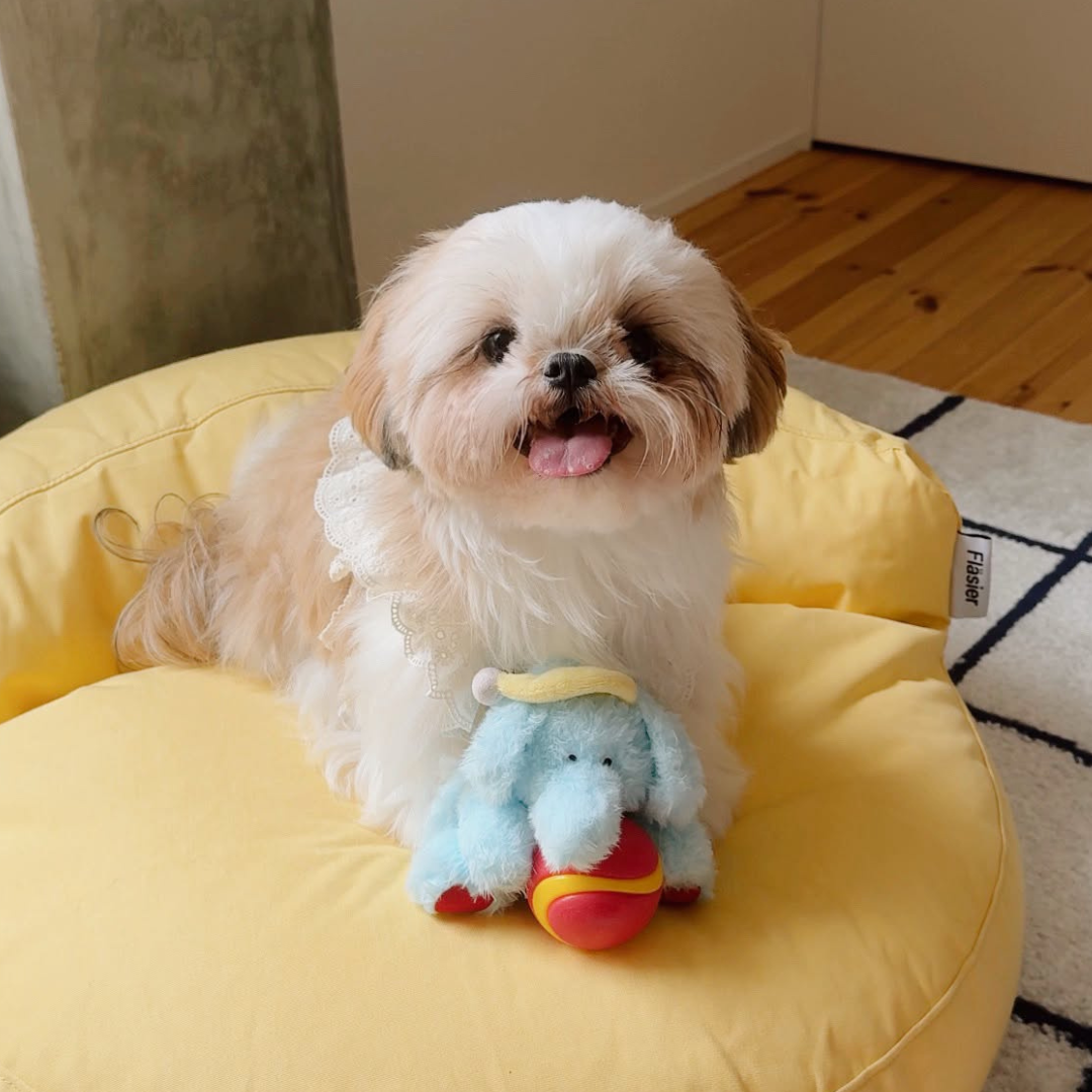 Sleepy Ellie Plush & Chew Ball 2-in-1 Dog Toy