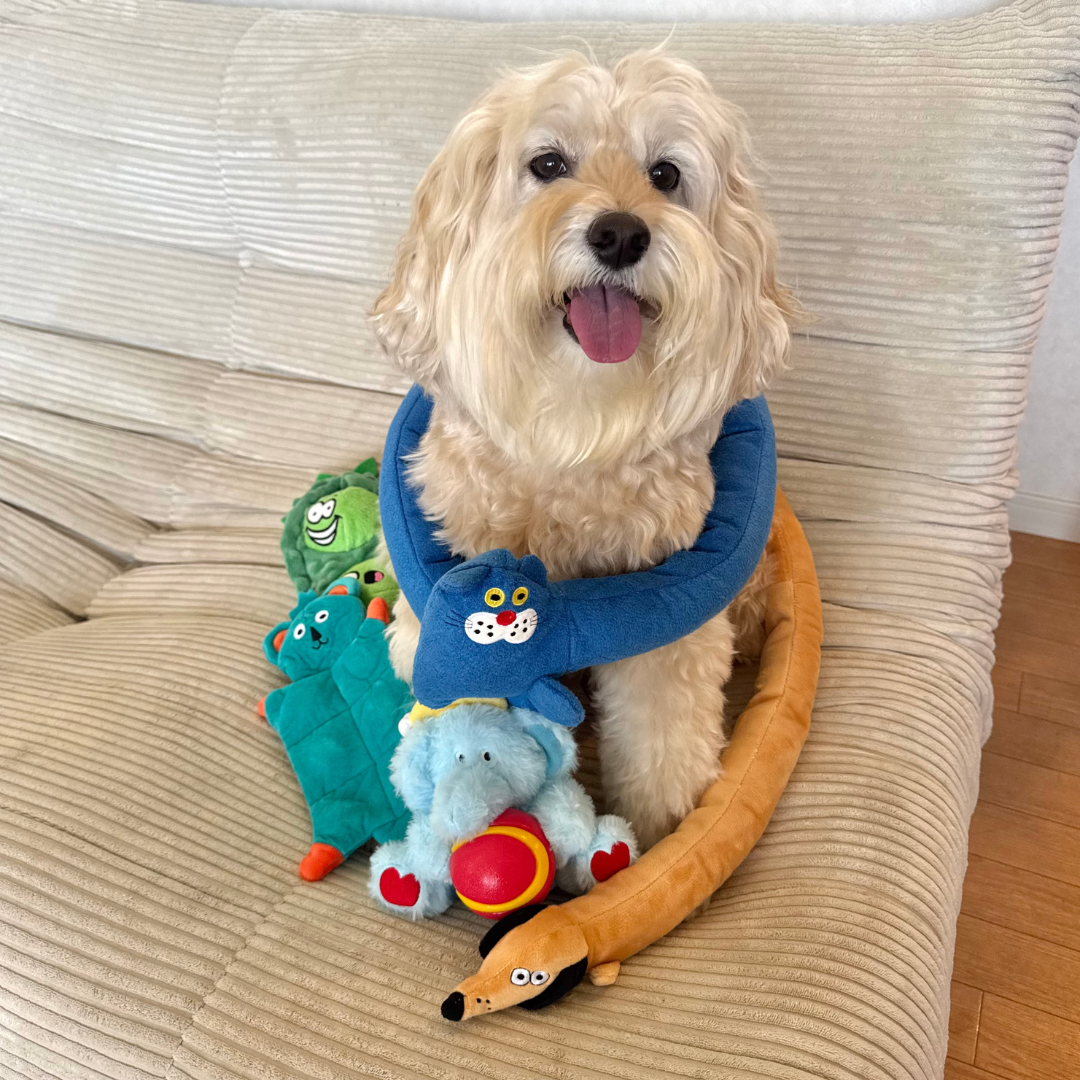 Sleepy Ellie Plush & Chew Ball 2-in-1 Dog Toy