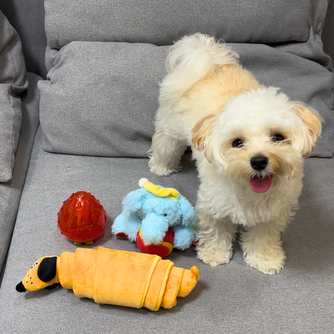 Sleepy Ellie Plush & Chew Ball 2-in-1 Dog Toy