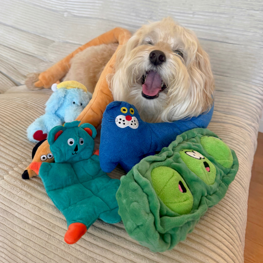 Wriggle Cat Squeaky Tug & Wrap Dog Toy