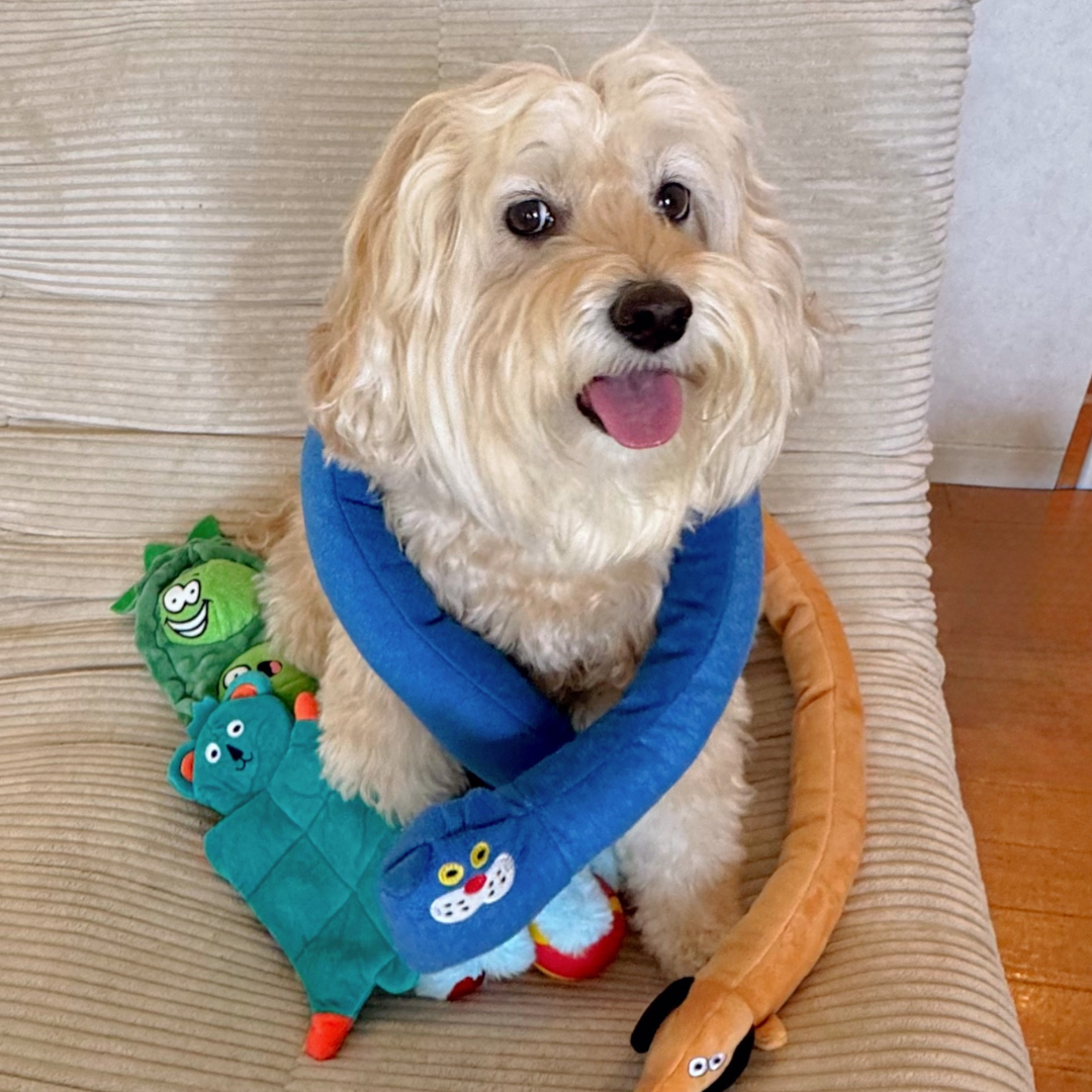 Wriggle Cat Squeaky Tug & Wrap Dog Toy