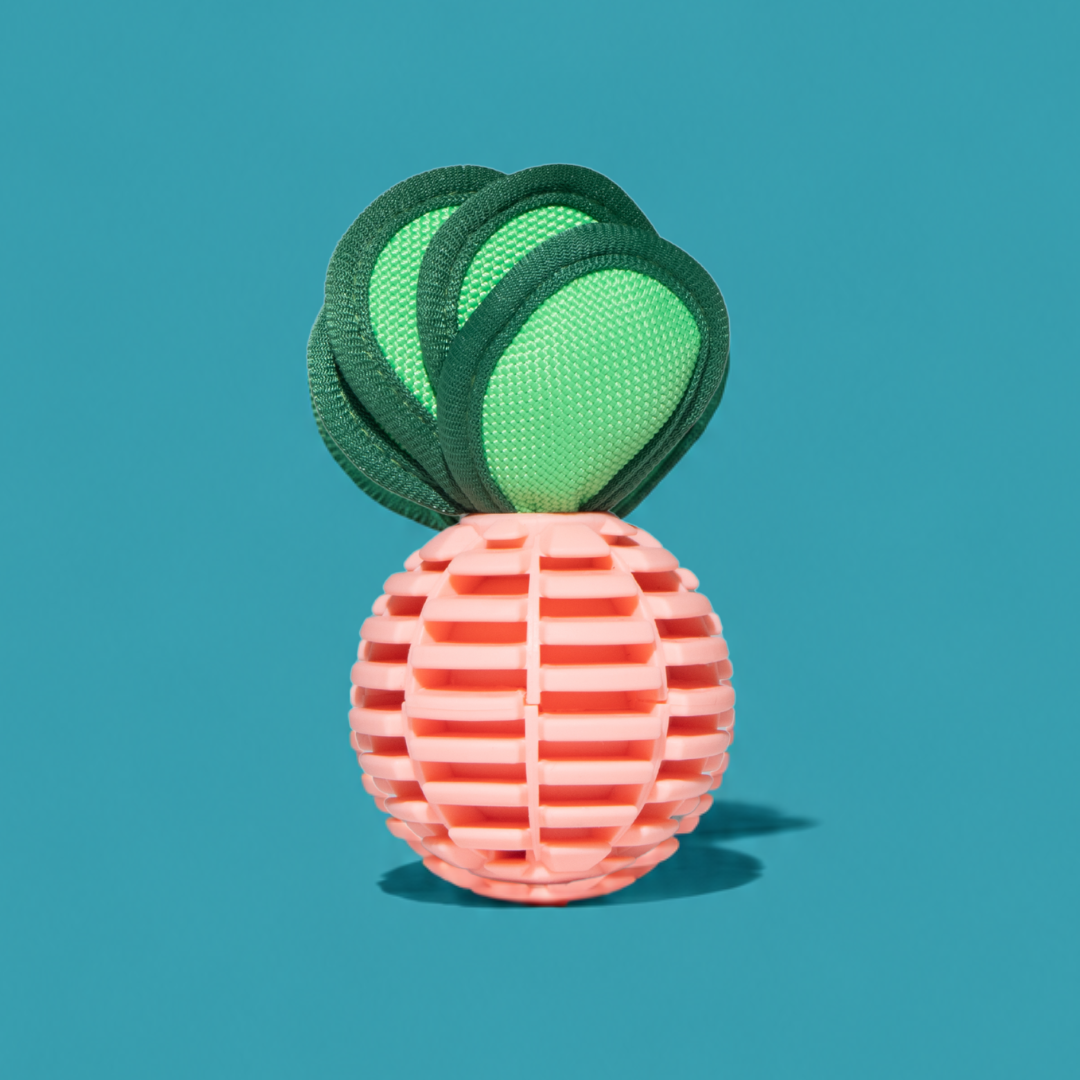 Radish Squeaky Chew Dog Toy