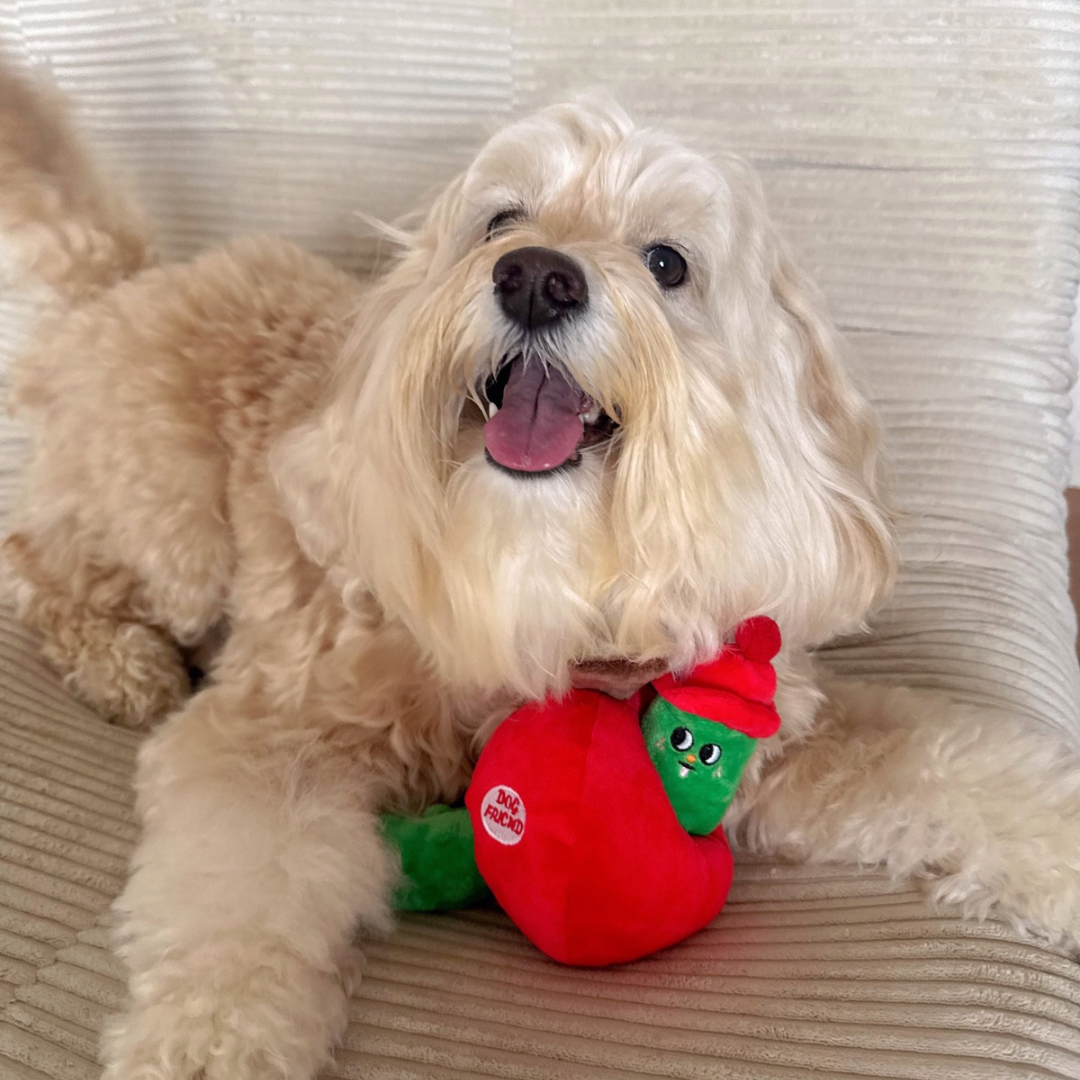 Apple Worm Squeaky Treat & Plush Toy