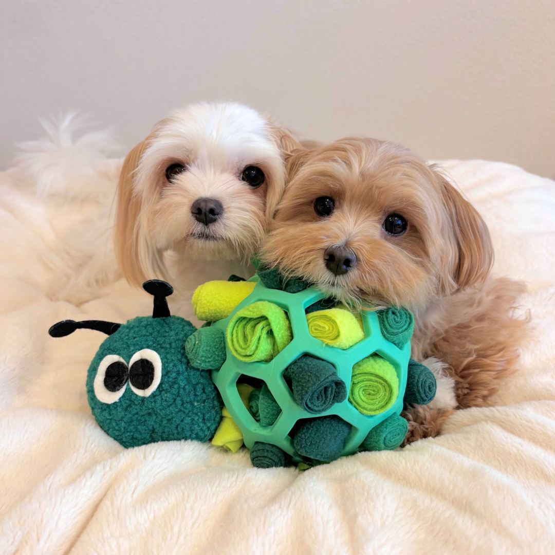 Caterpillar Squeaky Treat-Hiding Plush Toy