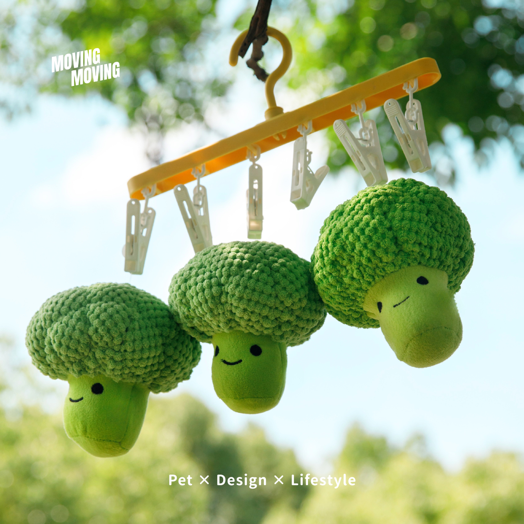 Squeaky Broccoli Plush Dog Toy