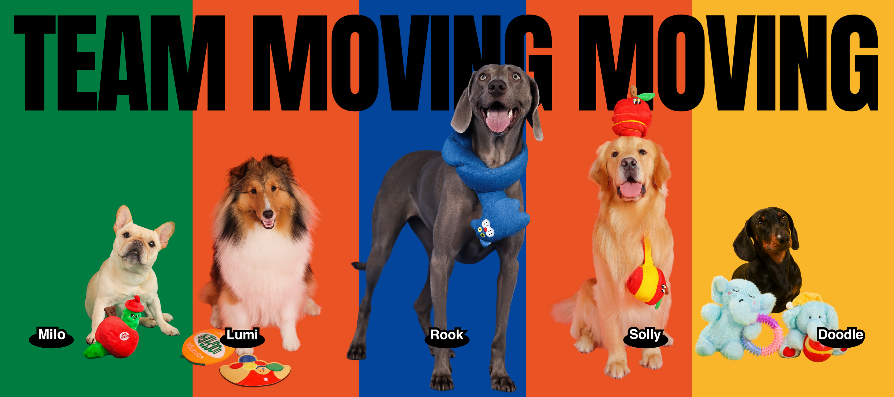 TEAM_MOVING_MOVING.png