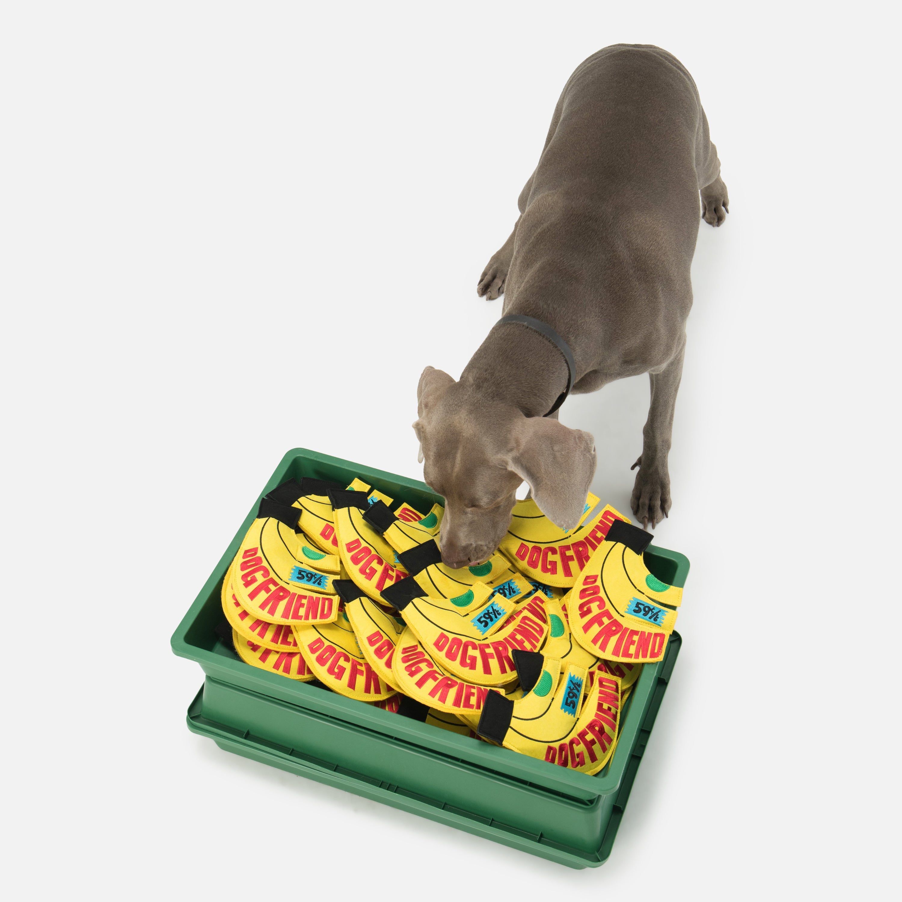 バナナ 鳴き笛＆カシャカシャ入り ソフトディスクトイ（犬用）